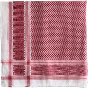 微信图片 20251103162422