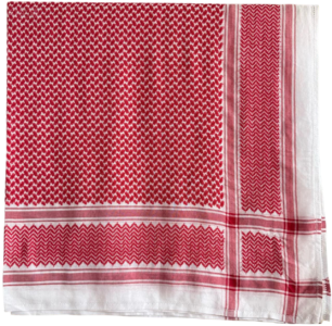 微信图片 20251103162434